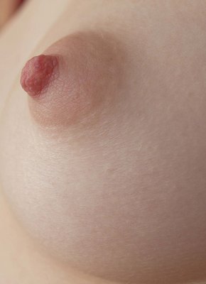 Голая бритая киска на диване